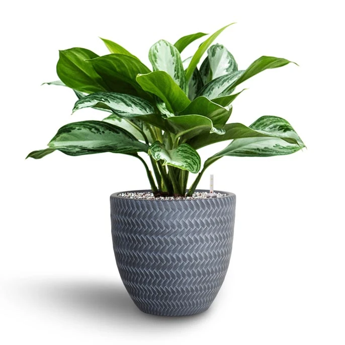 Angle Couple Plant Pot - Grey - Image 2