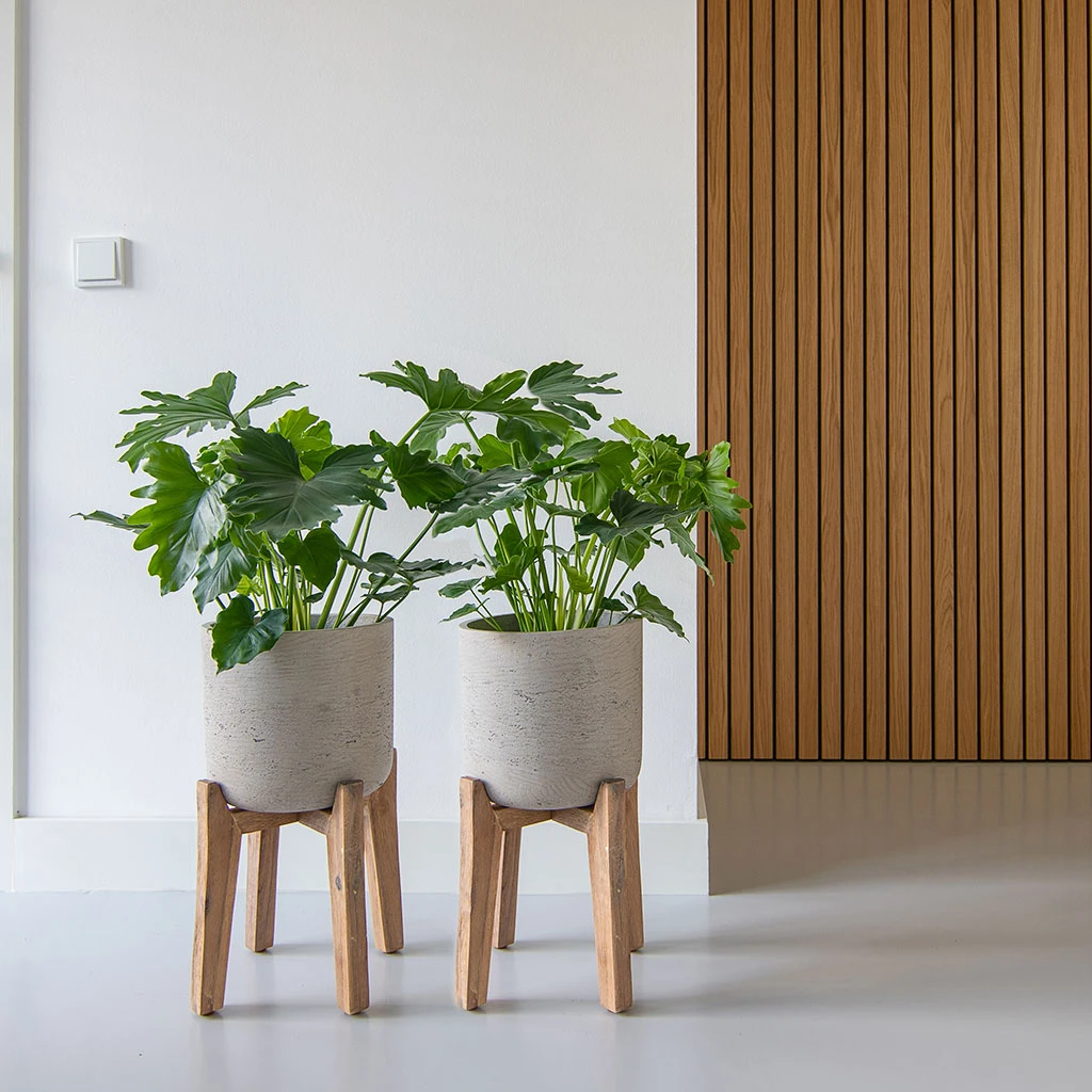 Charlie Plant Pot - Tall Stand - Grey Washed - Image 2