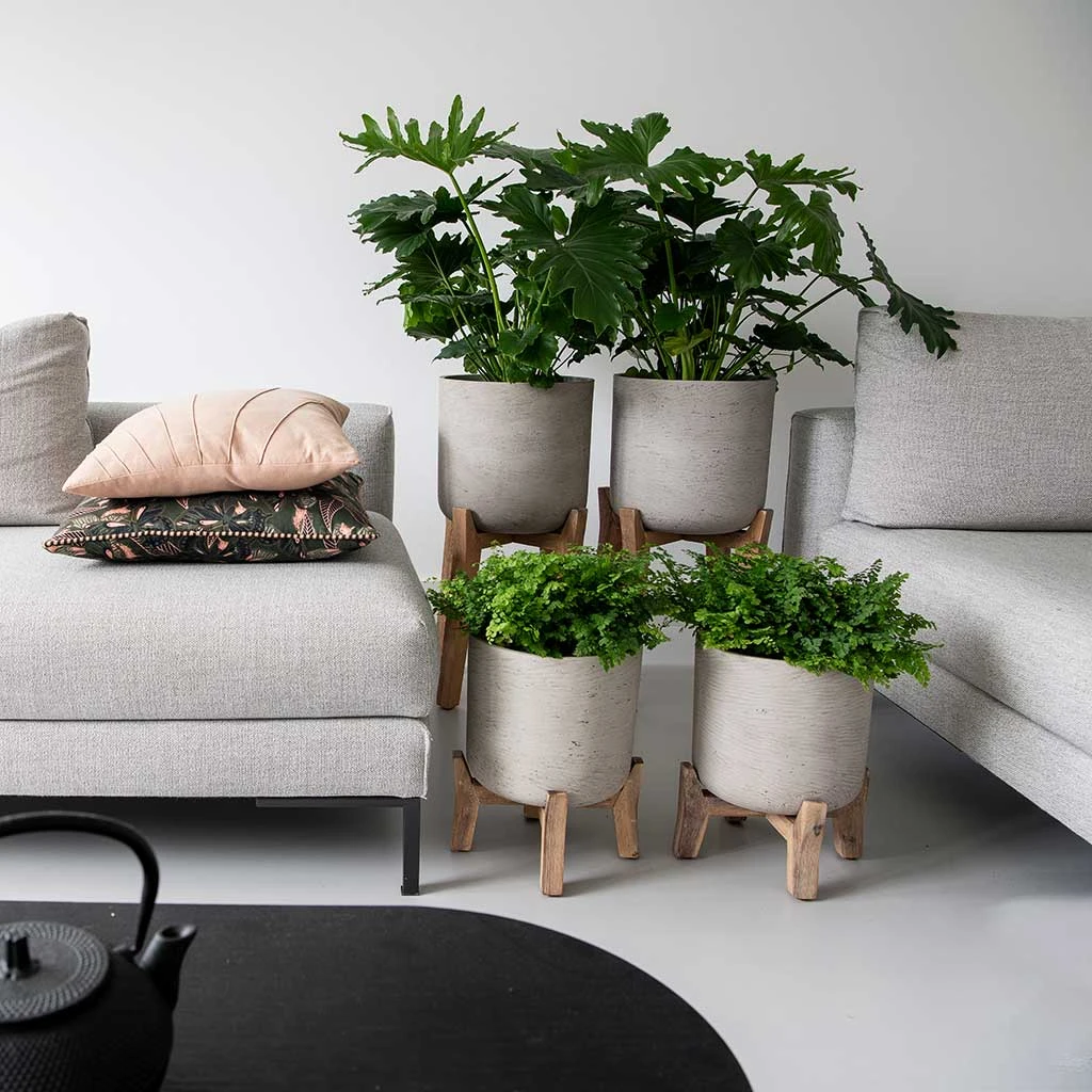 Charlie Plant Pot - Tall Stand - Grey Washed - Image 3