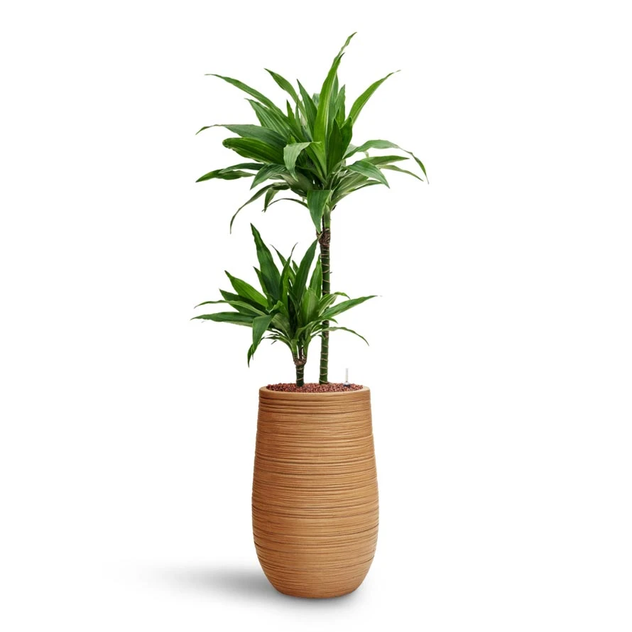 Dune Partner Planter - Almond - Image 13