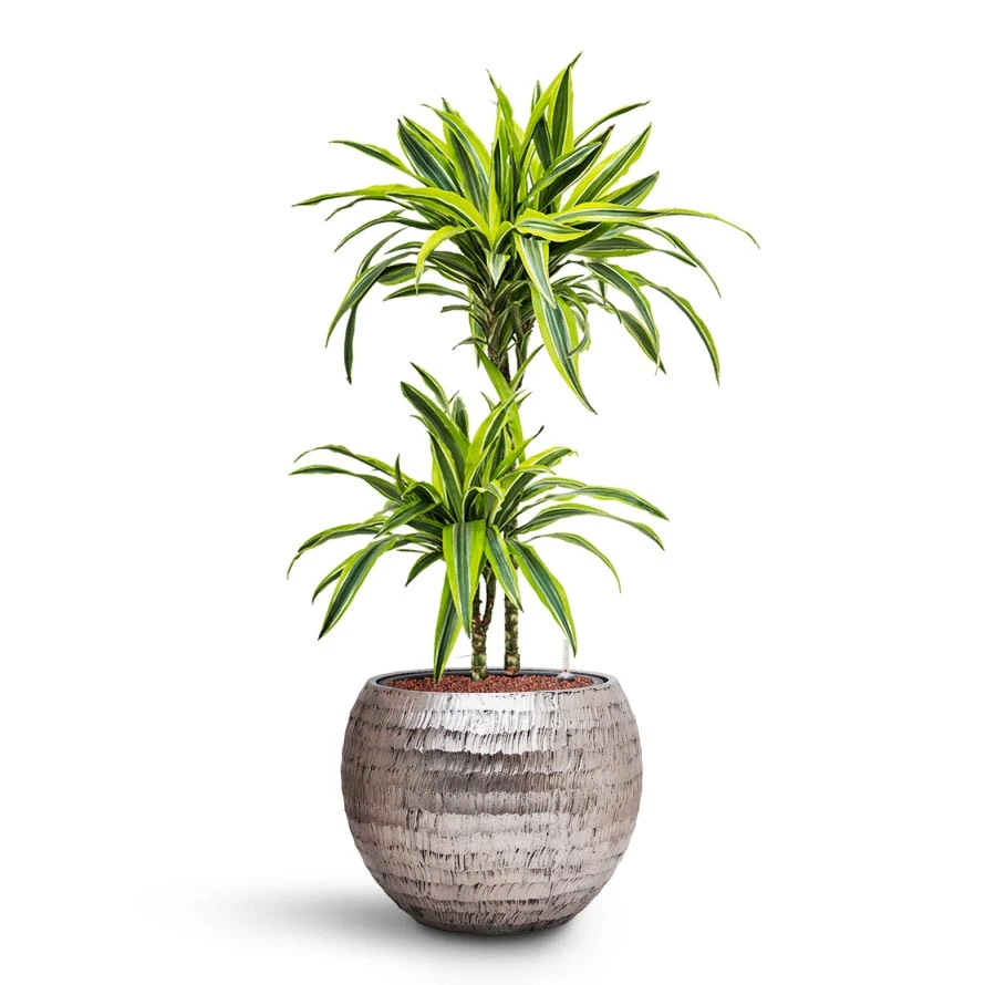 Opus Hammered Globe Planter - Silver - Image 5