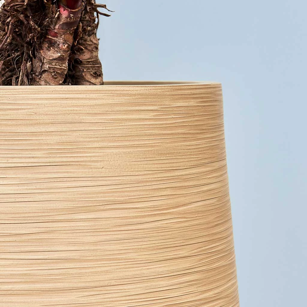 Dune Partner Planter - Almond - Image 10