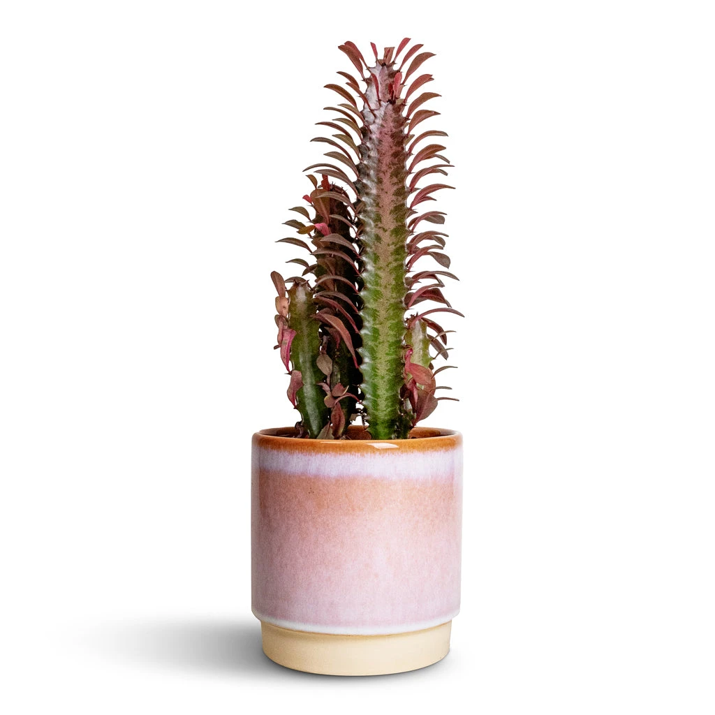 Copenhagen Plant Pot - Pink - Image 2