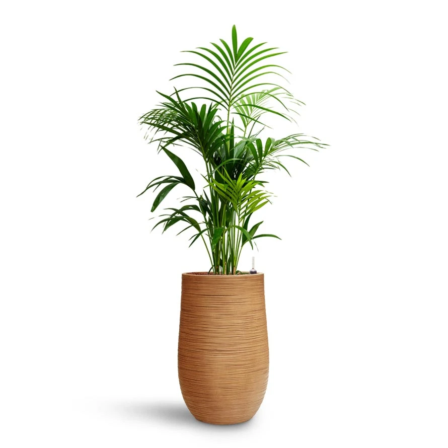 Dune Partner Planter - Almond - Image 9