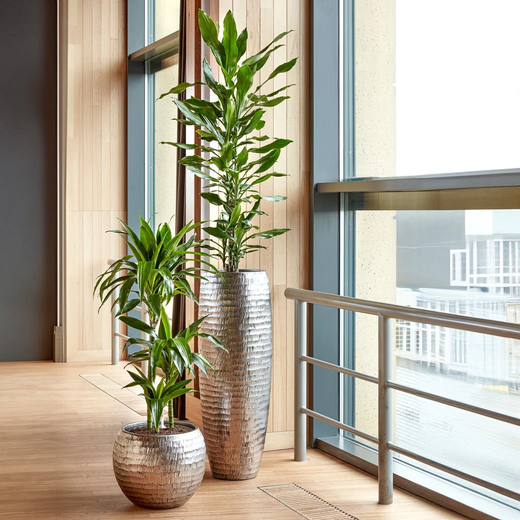 Opus Hammered Globe Planter - Silver - Image 3