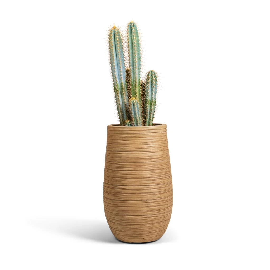Dune Partner Planter - Almond - Image 7