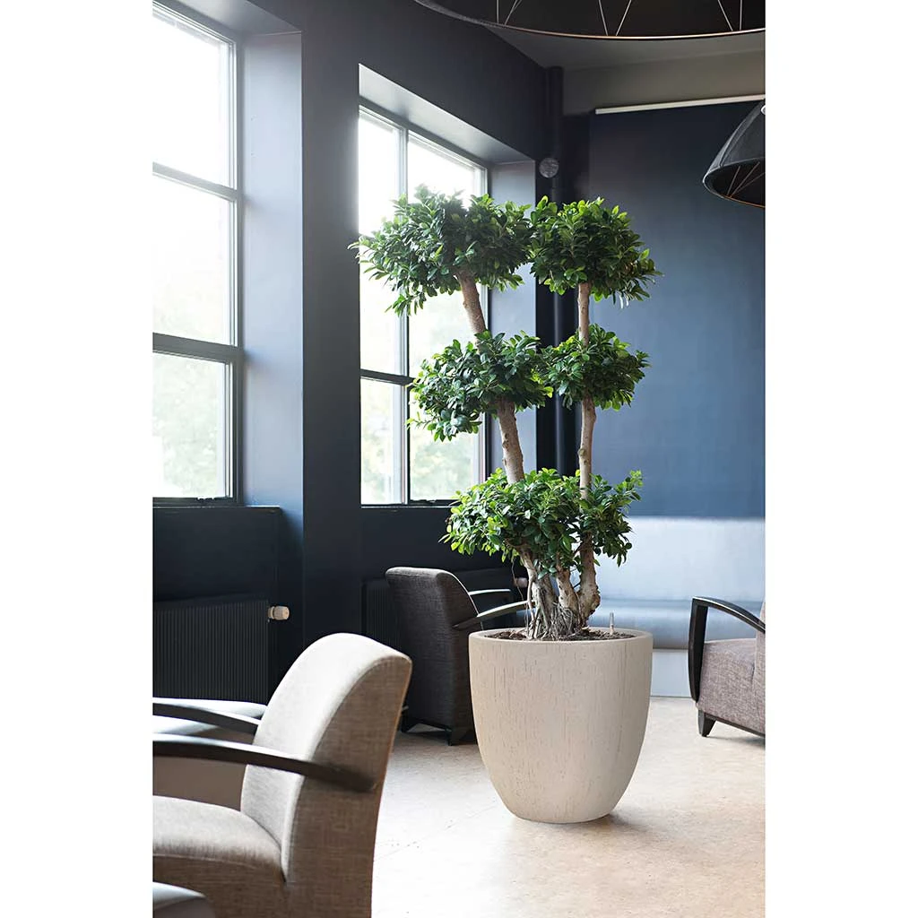 Raindrop Egg Planter - Stone - Image 6