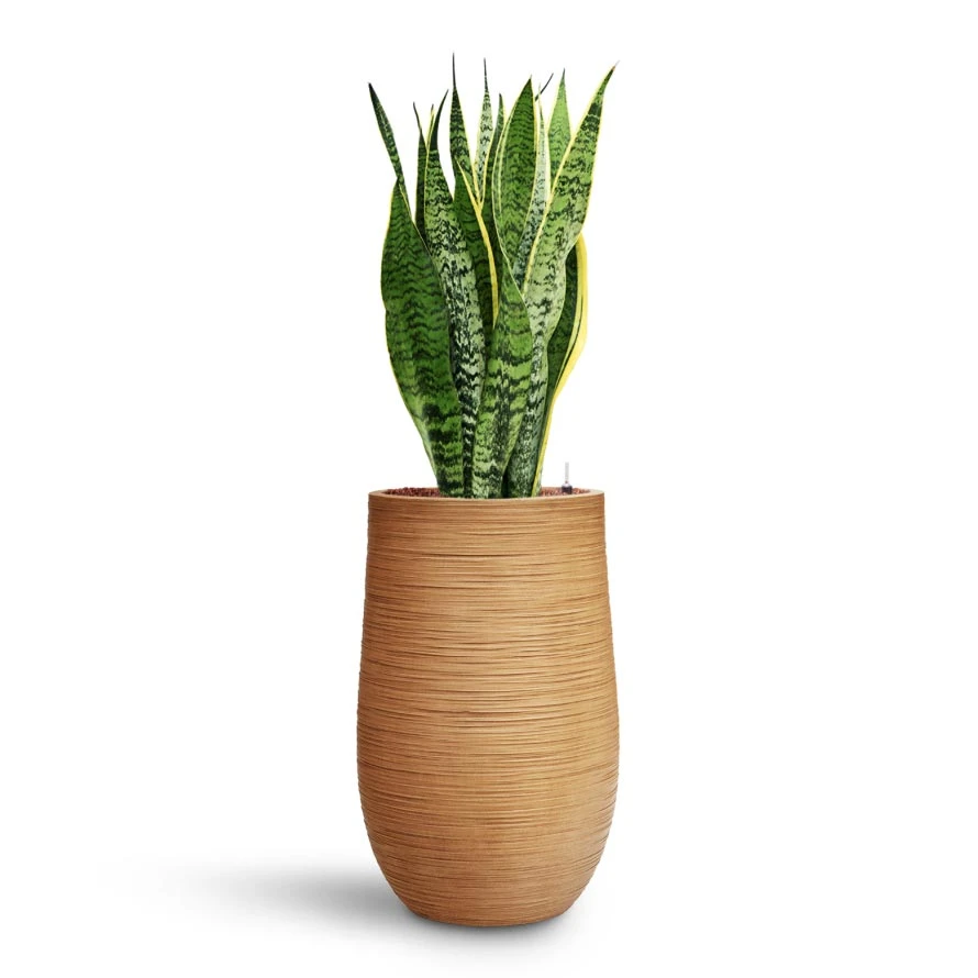 Dune Partner Planter - Almond - Image 15