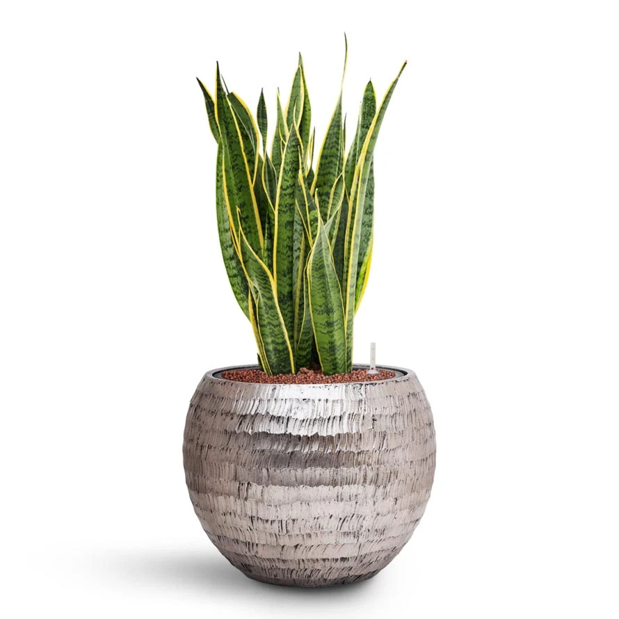 Opus Hammered Globe Planter - Silver - Image 7