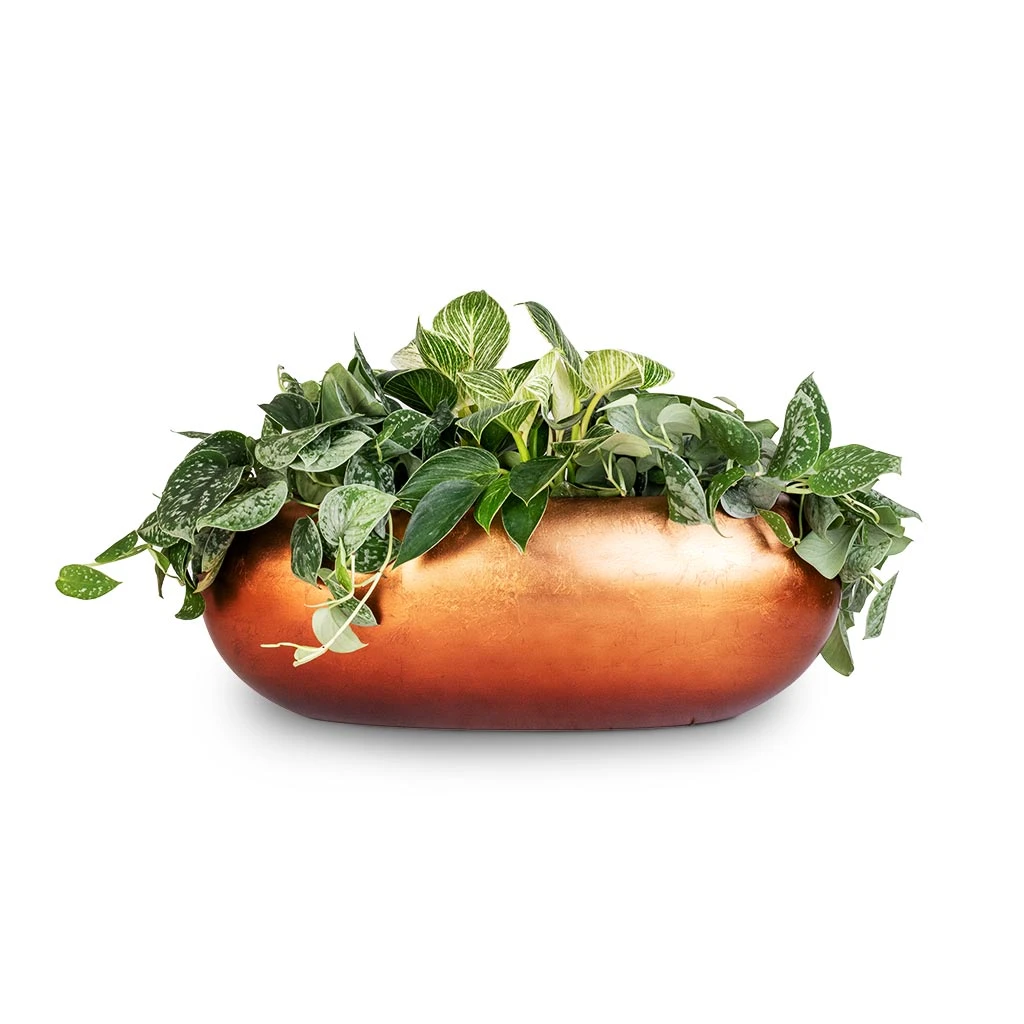 Metallic Boat Planter - Matt Copper - Image 3