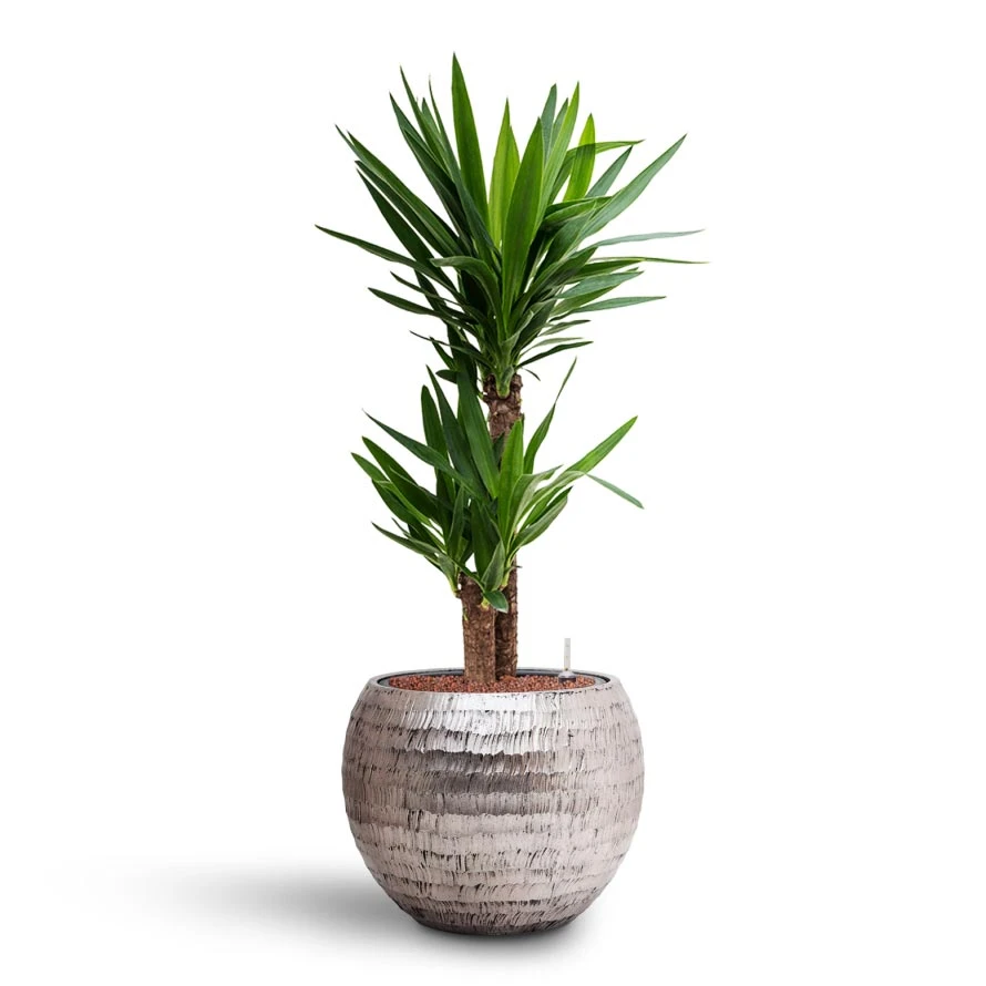 Opus Hammered Globe Planter - Silver - Image 9