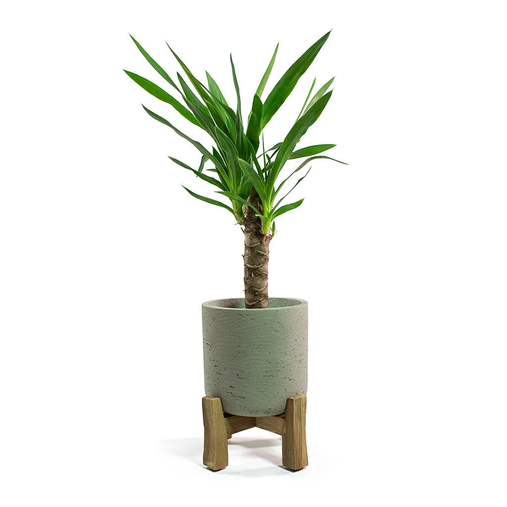 Charlie Plant Pot - Low Stand - Grey Washed - Image 5