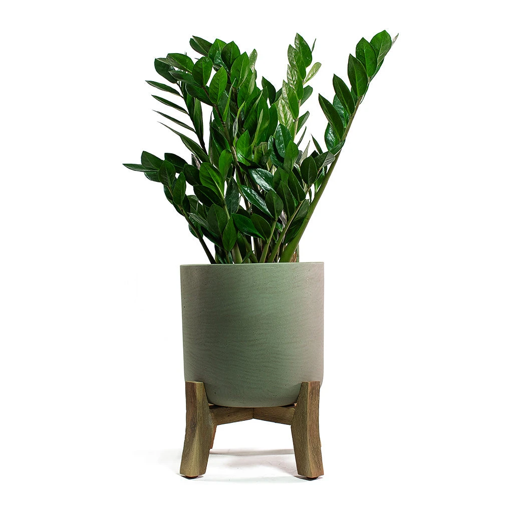 Charlie Plant Pot - Low Stand - Grey Washed - Image 6