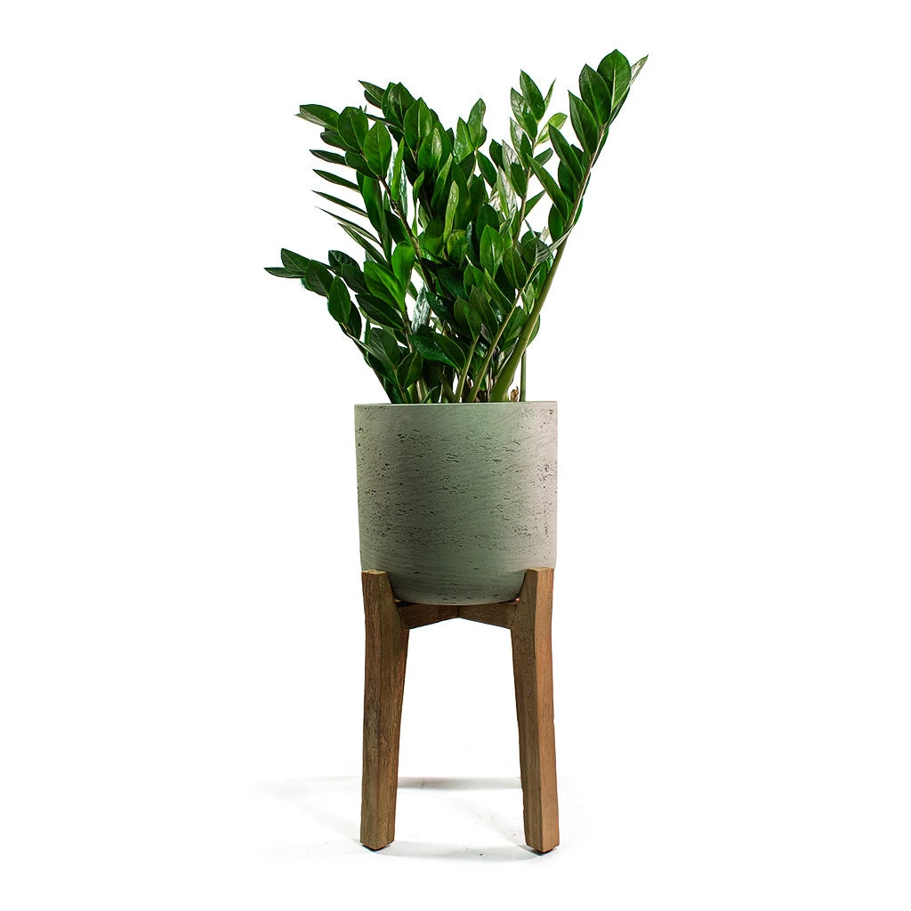 Charlie Plant Pot - Tall Stand - Grey Washed - Image 7