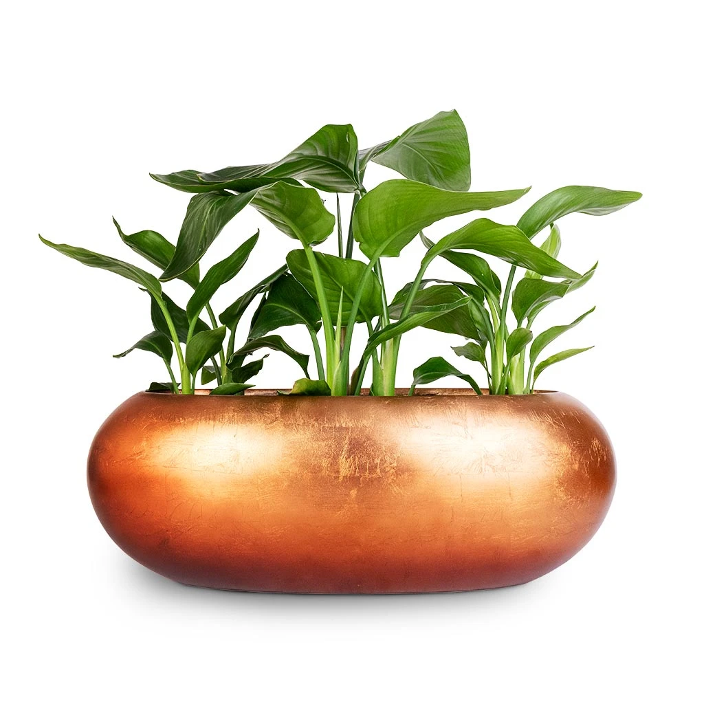 Metallic Boat Planter - Matt Copper - Image 4